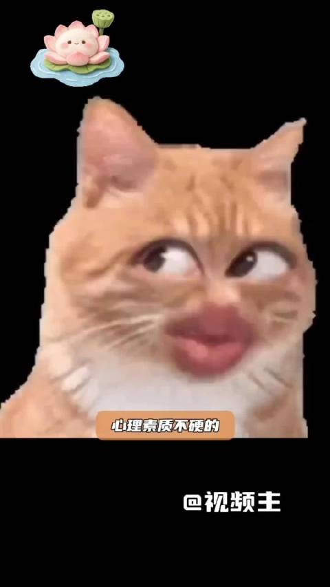 陈翔自嘲改名方廷皓，搬出经典角色救场