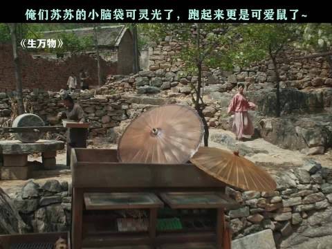 苏苏那小脑袋瓜子转得贼溜，跑起来的模样更是萌翻了，生万物 邢菲
