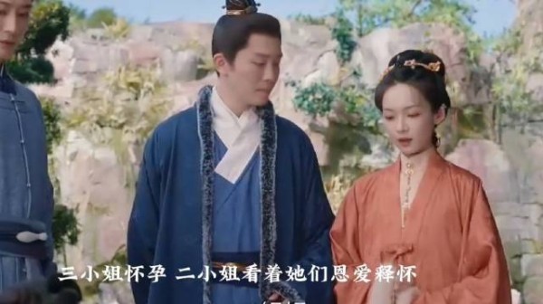 二小姐释怀林锦岐带她去京城涨见识让母亲放下吧,三小姐怀有身孕了!