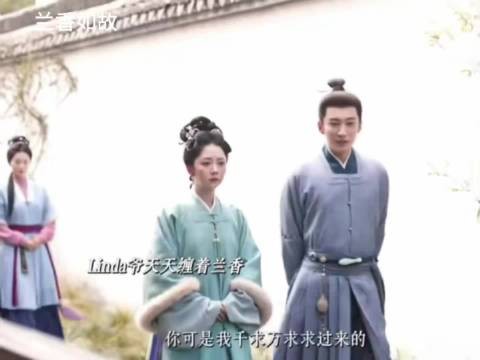 兰香如故:林锦岐的脸皮越来越厚,除了他自己别人都不开心