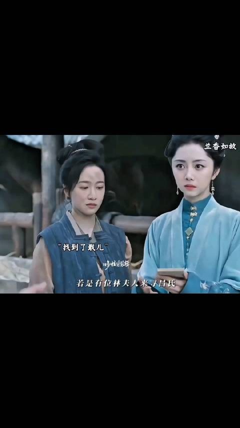 兰香终于找到了戢儿，林锦岐开启追妻模式