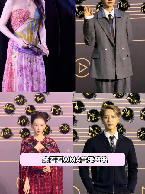 WMA音乐盛典!男女明星造型状态