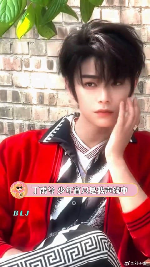 丁禹兮兮你的嗓子里究竟有什么!可塑性强就是任性啊丁禹兮演唱会少年音