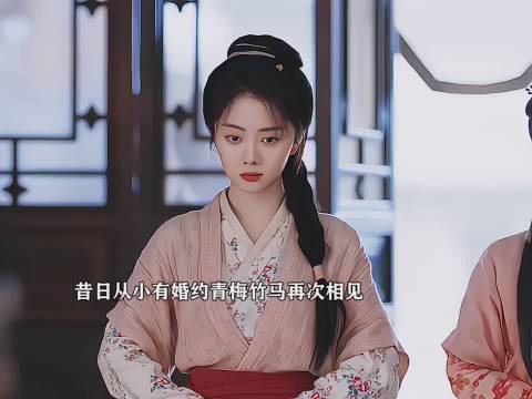 昔日从小有婚约的俩人再相见,一个是林府大爷,一个成了丫鬟 |兰香如故