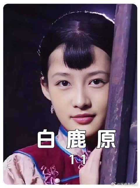 白嘉轩和鹿子霖大打出手,引起全族混战,黑娃追白狼救孩子