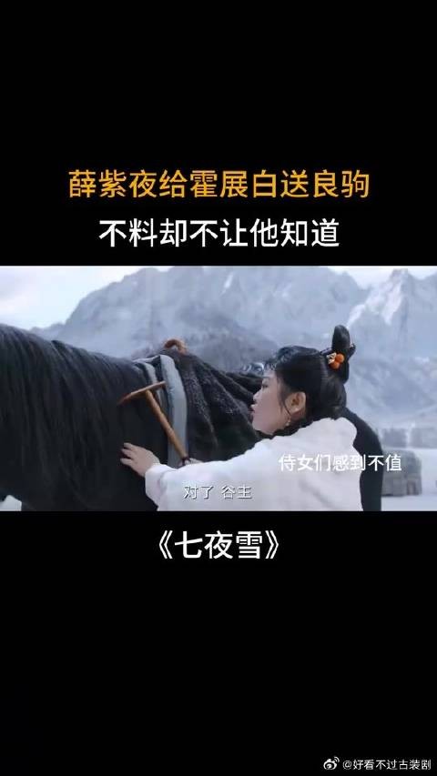 薛紫夜给霍展白送良驹，不料却不让他知道