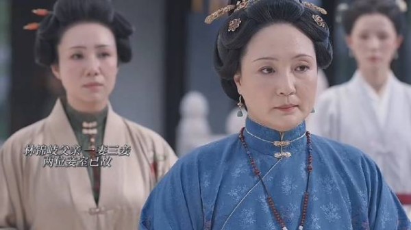 林家家庭人物关系