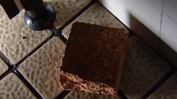 杀人犯只是上了个厕所，却让全城百姓都慌了