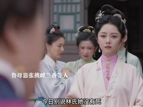 兰香成功将林绣莱救回家