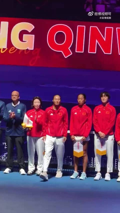 网友花式为郑钦文加油