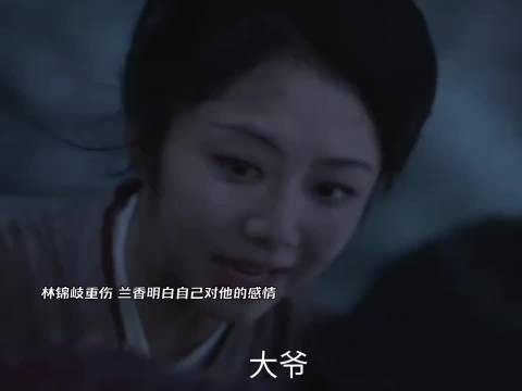林锦岐重伤,兰香明白对他的感情,赵星棠临s前给了兰香林锦岐谋反的证据!