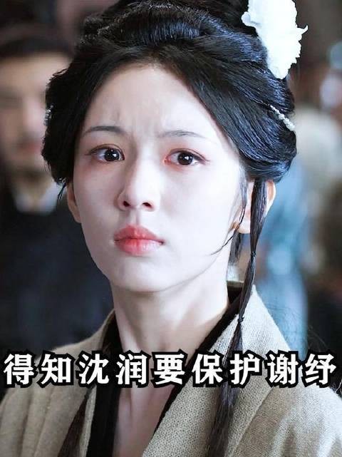 沈润誓死守护谢纾,谢清圆毅然选择与他彻底决裂