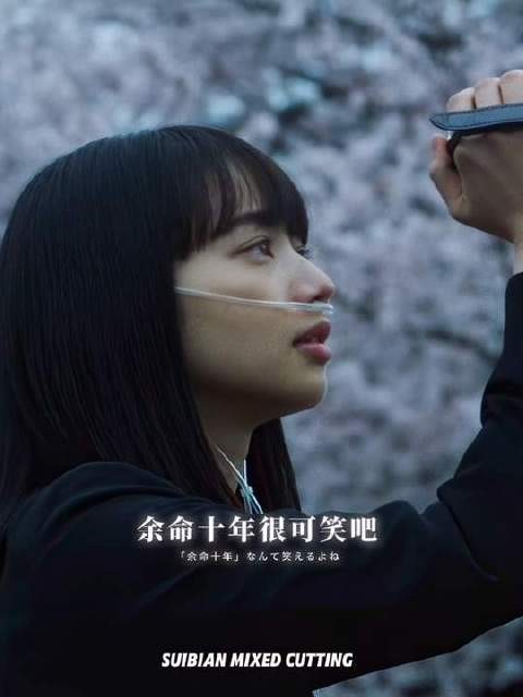 余命十年，何其荒诞，而与你相遇，竟成了我此生最幸运的际遇