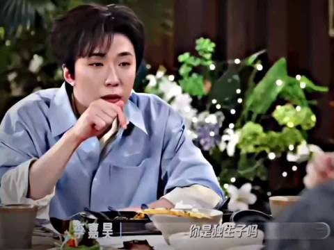表达了对曾经自己是独生子的怀念之情