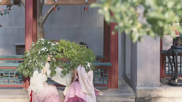 不得不说林家的兄弟姐妹是真的团结