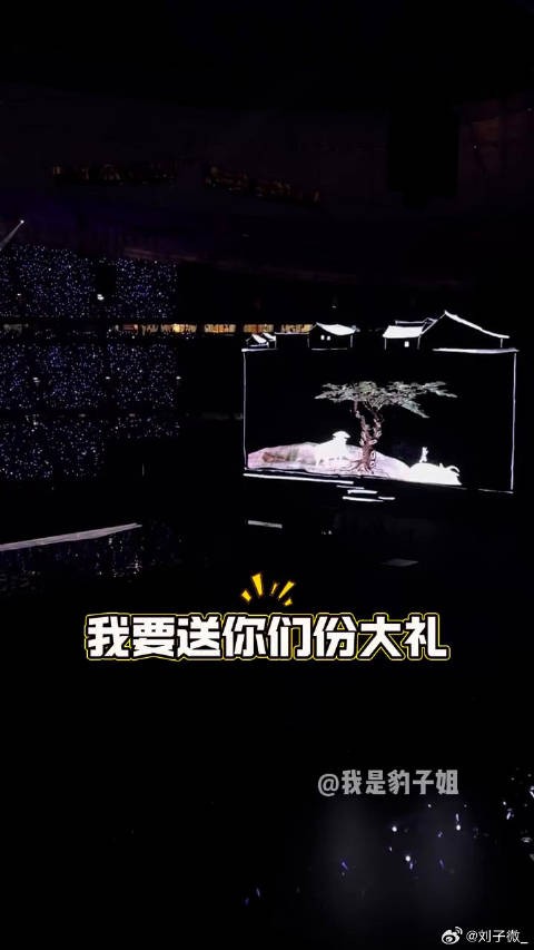 张艺兴鸟巢演唱会庆生,粉丝贝壳陪伴
