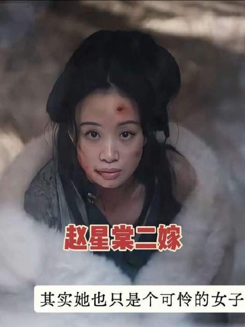 赵星棠二度嫁戴寺卿,育有四子长子年岁竟相仿