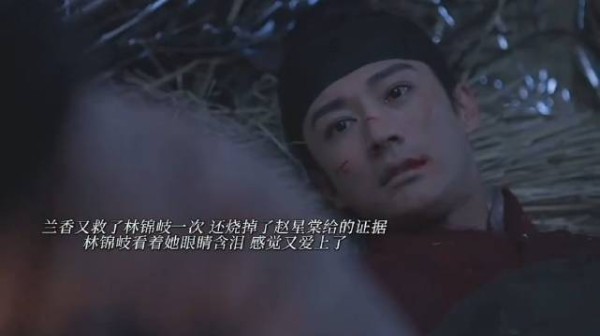 林锦岐看着兰香烧掉他放走废太子的证据，眼睛含泪又爱上了