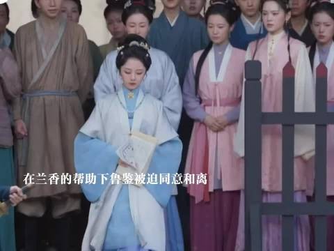 在兰香村帮助下鲁鉴同意和离,汉王谋反,林锦歧重伤兰香救了他和赵星棠