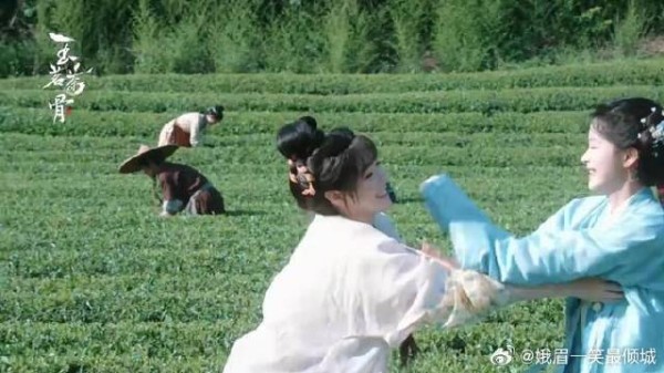 姐姐妹妹温馨时刻有!