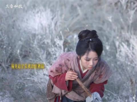 兰香从叛军手中救下赵星棠