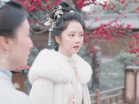 二爷聪慧过人，林家上下无一平庸