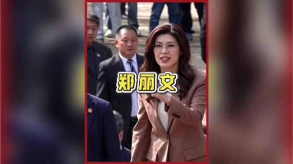 郑丽文那些你不知道的事