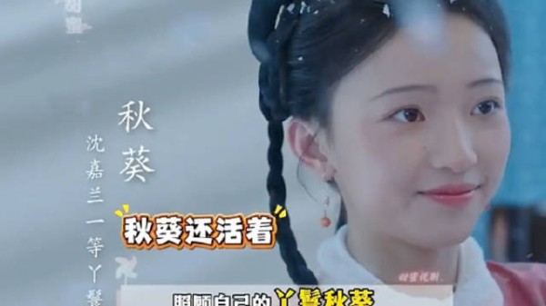 沈家丫鬟还活着，帮着林家管理墓碑