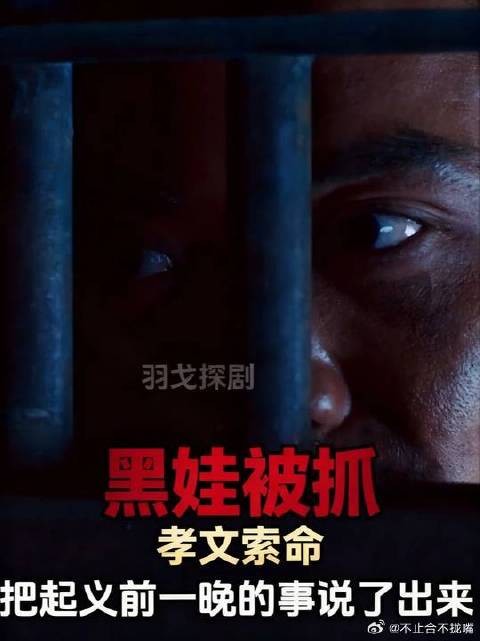 黑娃一点记性也没有，又一次被孝文抓了，这下可就没这么好运了