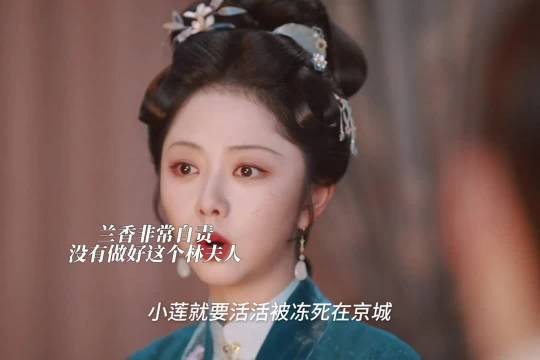 兰香觉得自己不配做林夫人 林锦岐耐心开导，兰香如故
