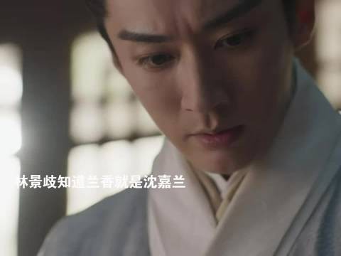 林景歧猜出兰香就是沈嘉兰，兰香决定好好管家