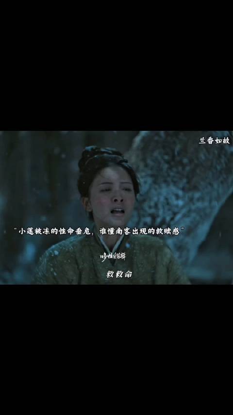小莲被马夫丢弃,南客救了她