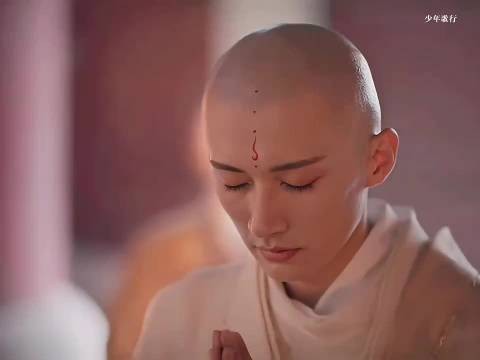 忘忧大师坐化了!再也没人保护无心了!