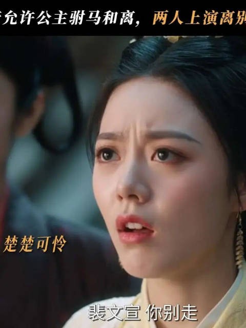 公主驸马上演和离大戏!