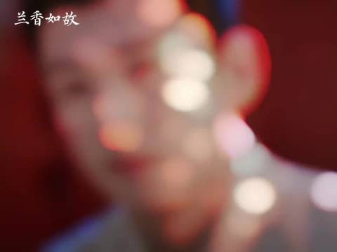 林锦岐离世兰香独自抚育孩子终老！…