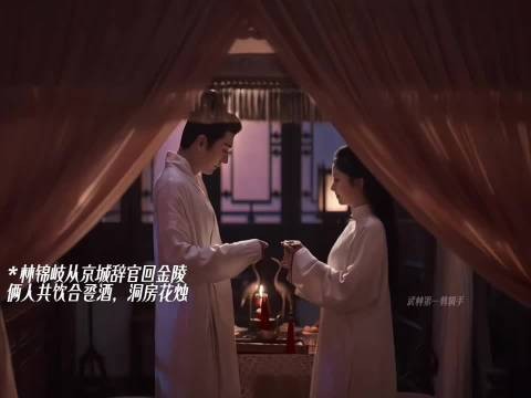 林锦岐辞官,四小姐要嫁人,三小姐要和离