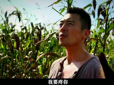 按照九儿刚毅的性格如果不喜欢对方的话,被那个她能把对方杀了! 红高粱 周迅