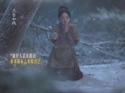 兰香如故单更后观众二胡复刻赵星棠名场面,二创热潮涌动