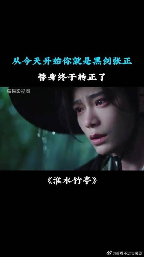从今天开始你就是黑剑张正，替身终于转正了
