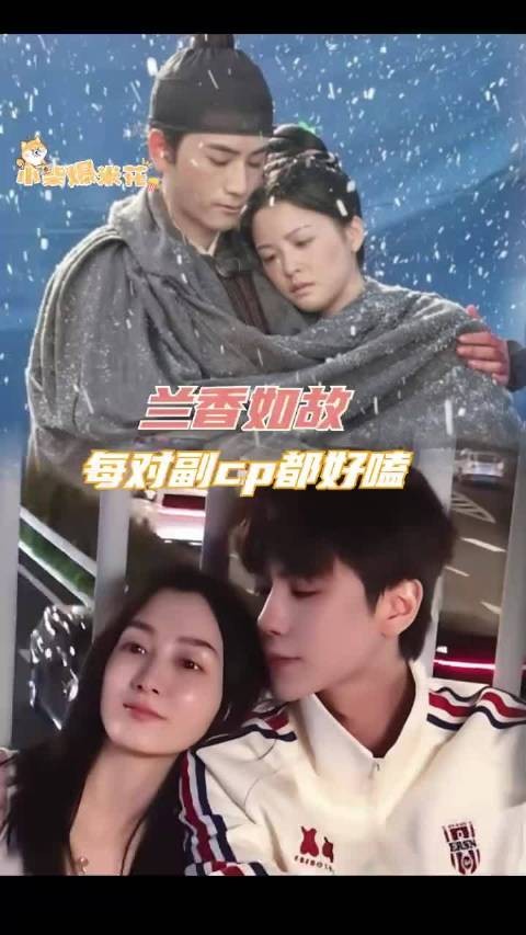 每对副cp都迎来了最佳磕糖期兰香如故 电视剧 cp 群像 磕糖