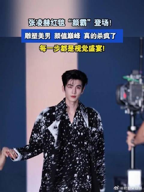 张凌赫红毯“颜霸”登场,雕塑美男颜值巅峰,每一步都是视觉盛宴