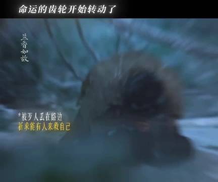 兰香如故南客披风英雄救美,小莲求菩萨灵验