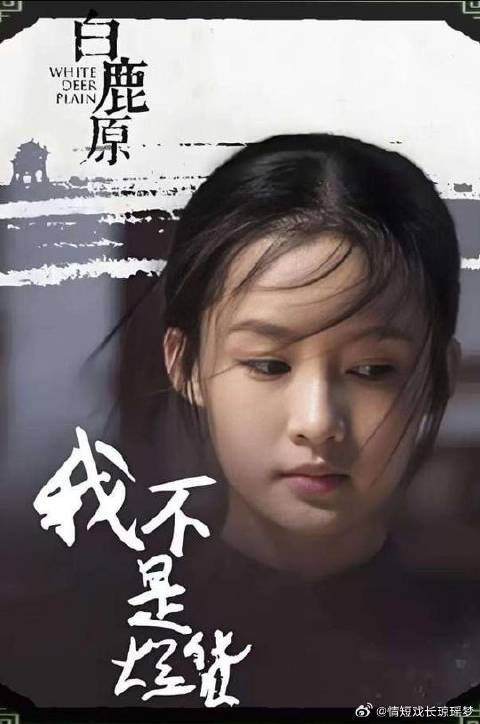 一个窝窝头都能救下一个人的命,黑娃当麦客