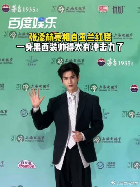 张凌赫亮相白玉兰颁奖典礼红毯，一身黑西装帅出新高度，权威两字不必多说！