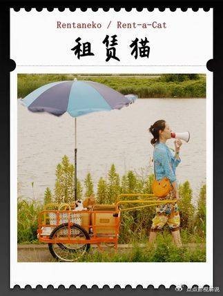 生活没有答案的时候,先让自己身边有一点回应|电影《租赁猫》