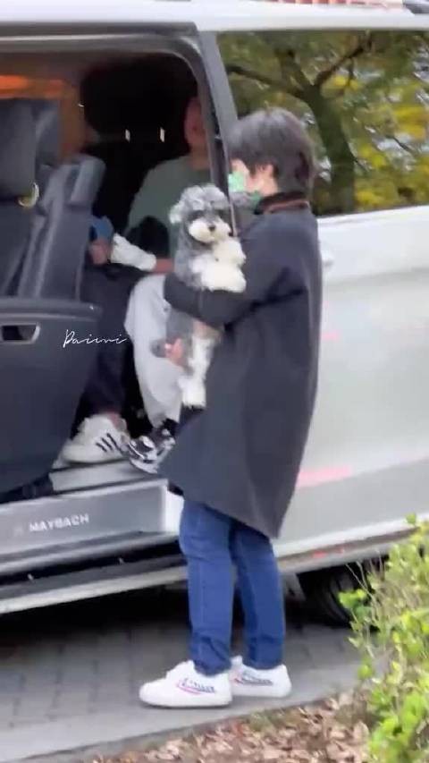 哎呀呀 想念我那金贵的 脚不沾地的女明星 刘呆米小公主
