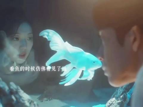 早春晴朗｜栾念回家就开始找桃桃的影子