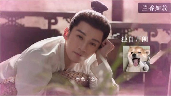 网友戏称林锦岐耳光贷,先透支亲亲欠款一巴掌