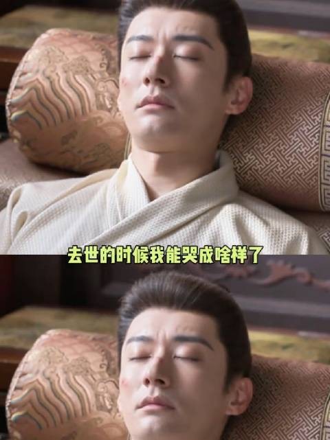 看到林锦岐的结局真的意难平啊