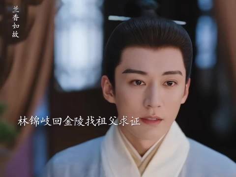 林锦岐回金陵找祖父求证,知道了许兰香就是沈嘉兰